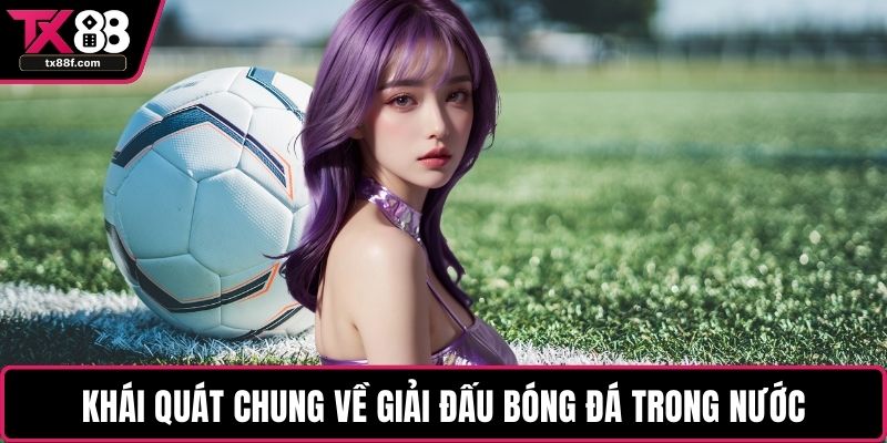 Khái quát chung về giải đấu bóng đá trong nước