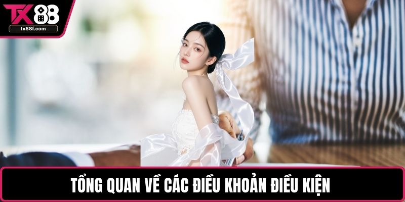 Tổng quan về các điều khoản điều kiện 